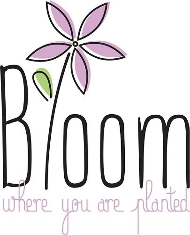 Bloom Flower