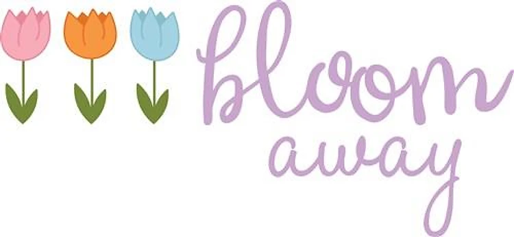 Tulip Bloom