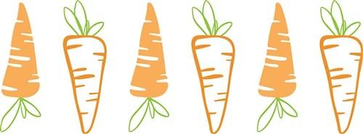 Carrot Border
