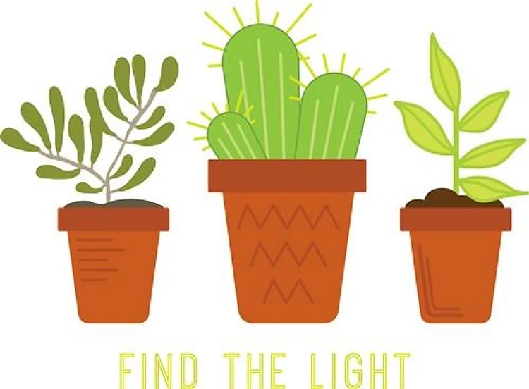 Find The Light Border