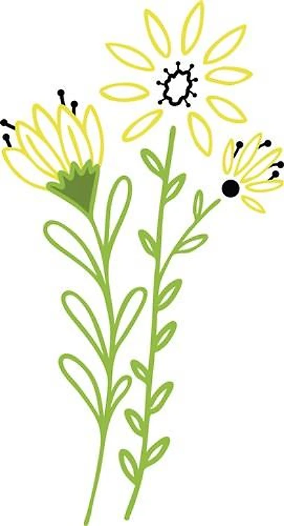 Daisy Outlines