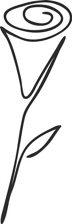 Line Art Rose
