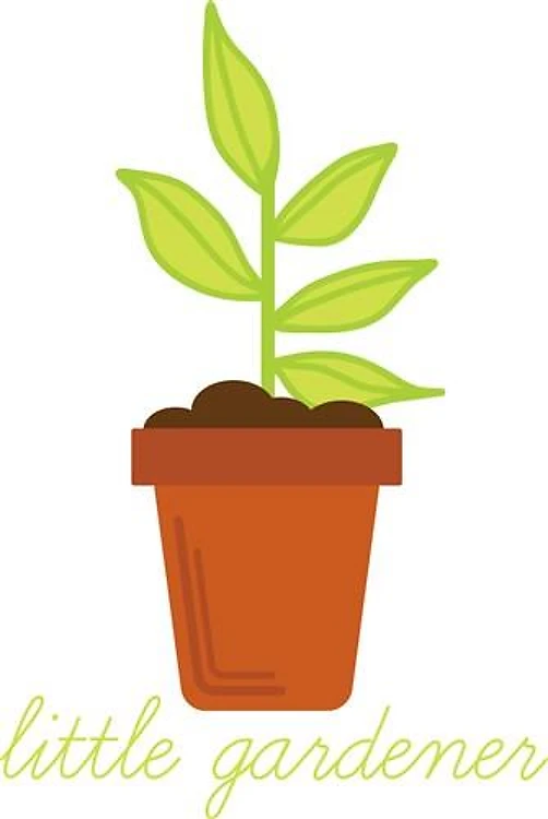 Little Gardener
