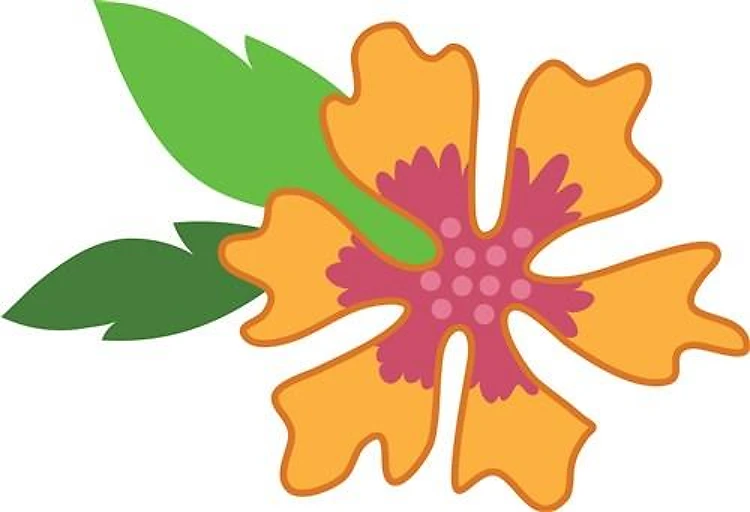 Hibiscus Flower