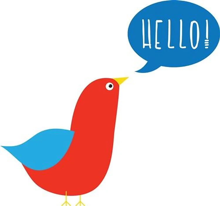 Hello Bird