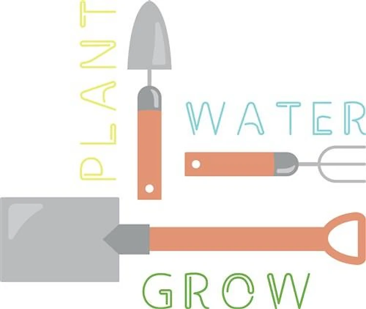 Plant Water Grow