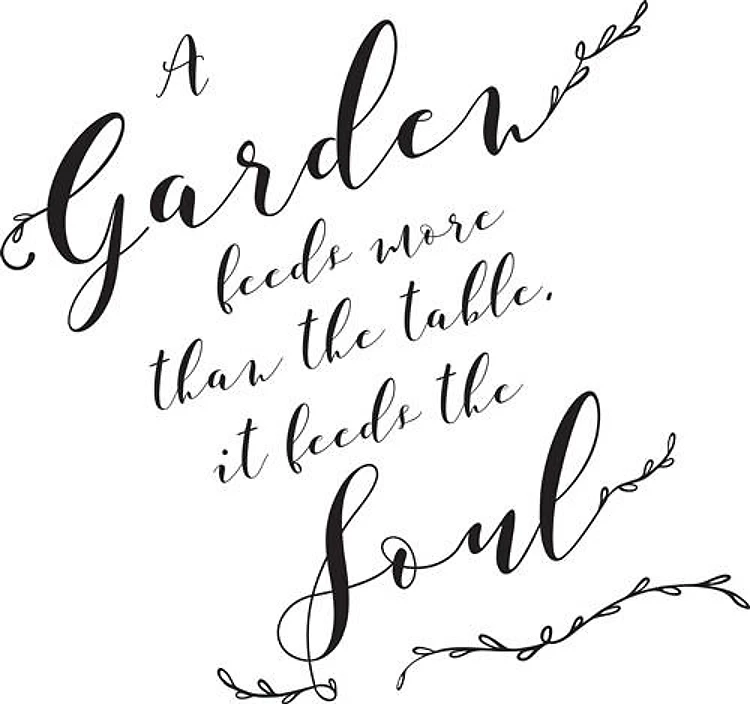 A Garden