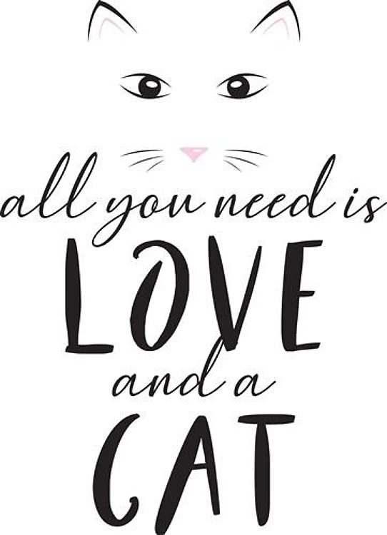 Love And Cat