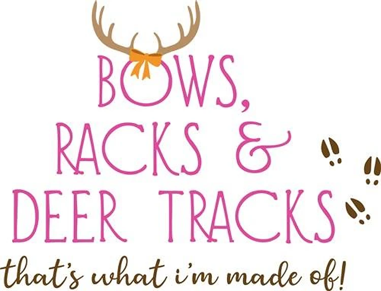 Bows Racks Deer Tracks