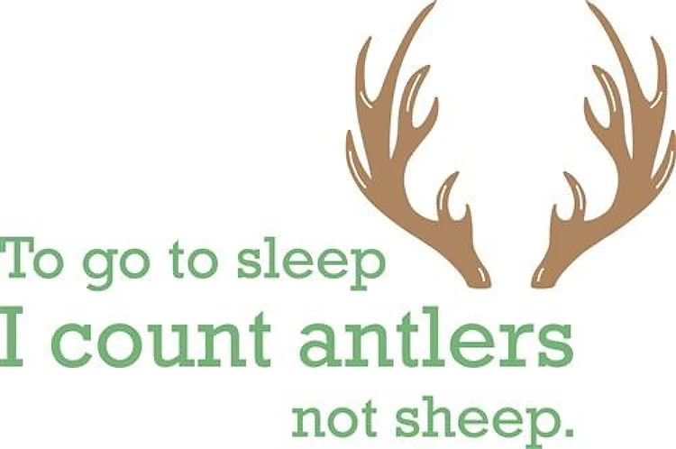 I Count Antlers