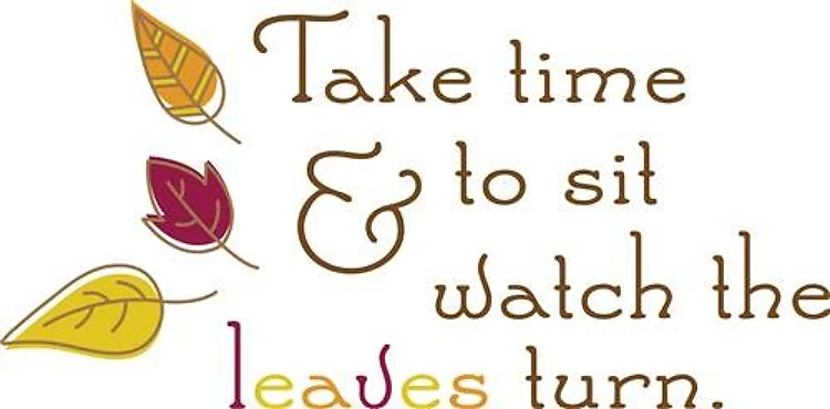 Watch The Leaves Turn