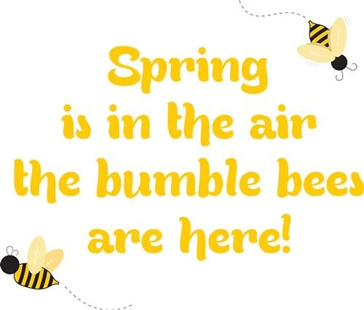 Spring & Bumblebees