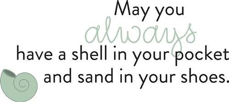 Shell In Your Pocket