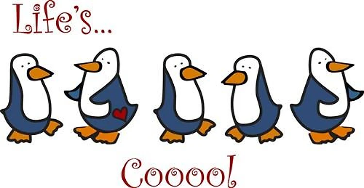 Lifes Cool Penguins