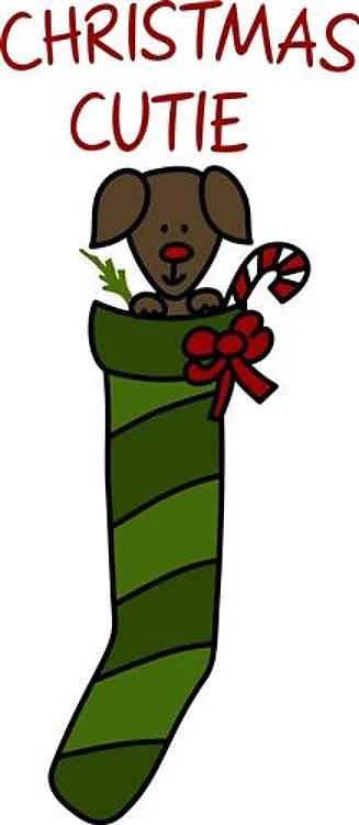 Christmas Cutie
