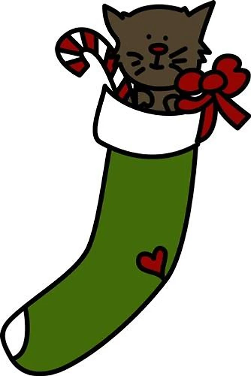 Kitten In A Stocking