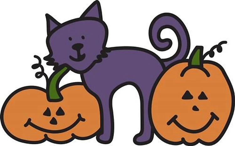 Cat And Pumpkins