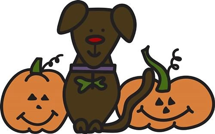 Halloween Dog