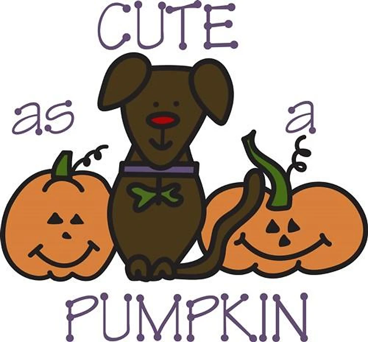 Cute As A Pumpkin