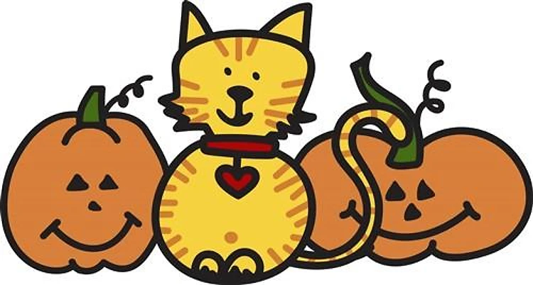 Halloween Cat