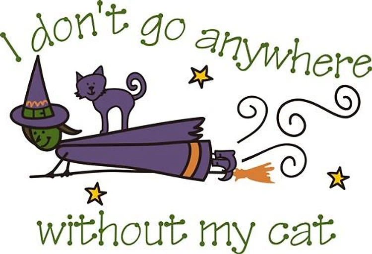 Witch And Cat