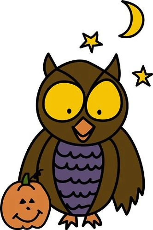 Owl And Pumpkin