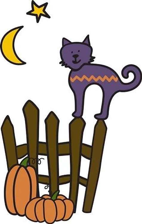 Cat On Fence