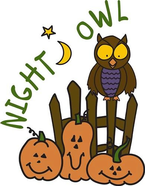 Night Owl