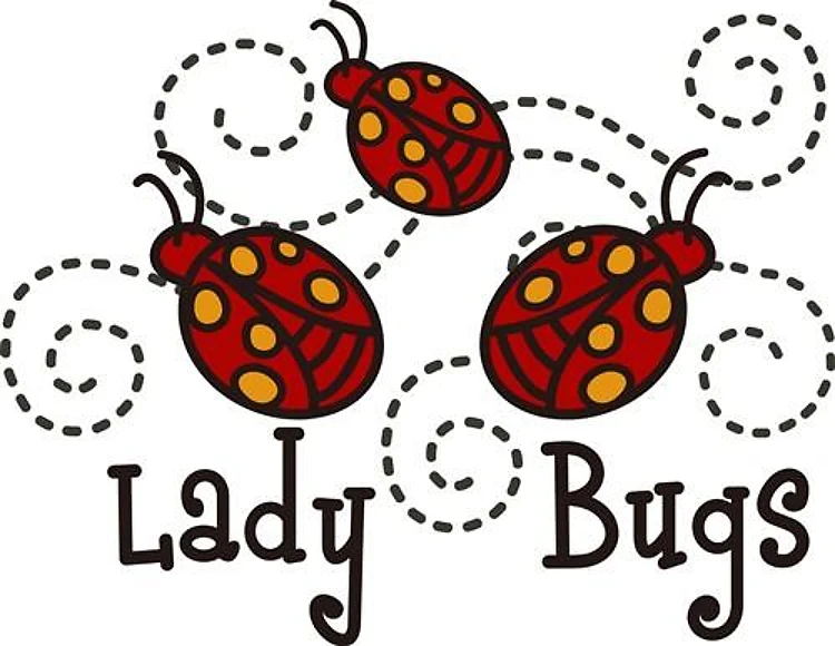 Ladybugs