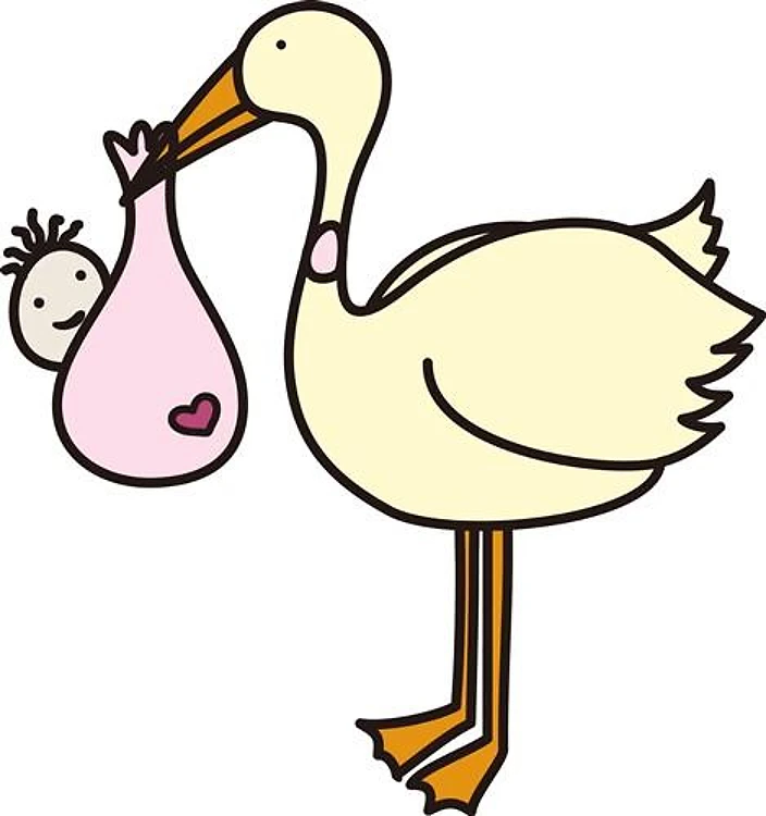 Stork Girl