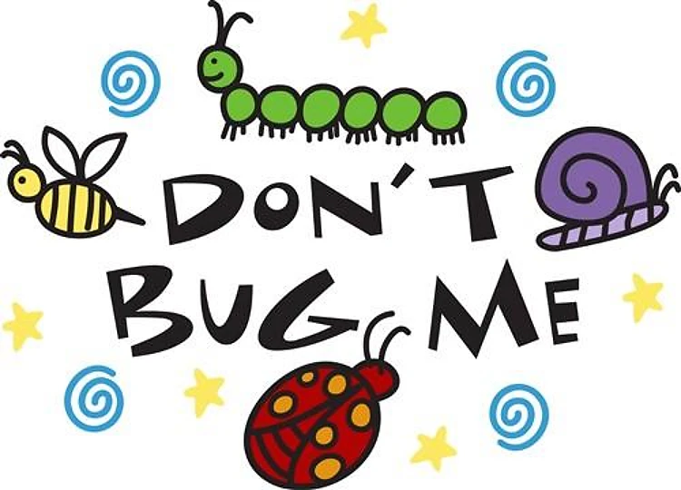 Dont Bug Me