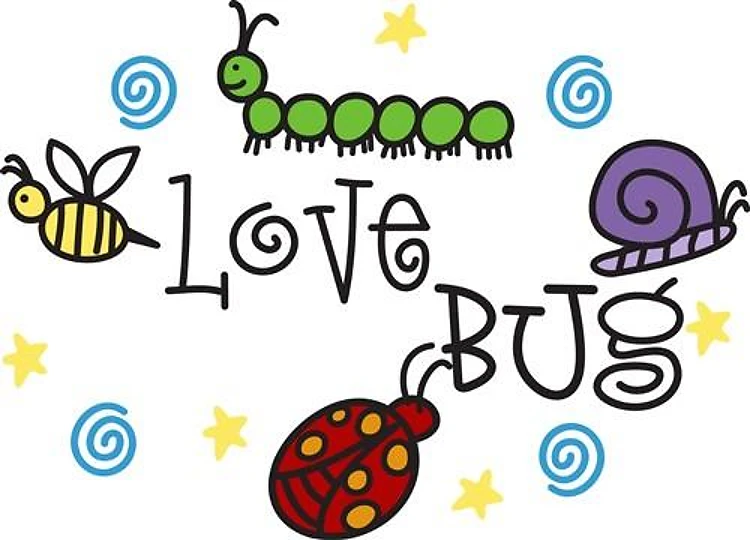 Love Bug