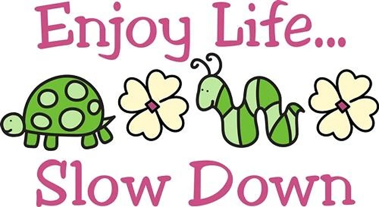 Enjoy Life