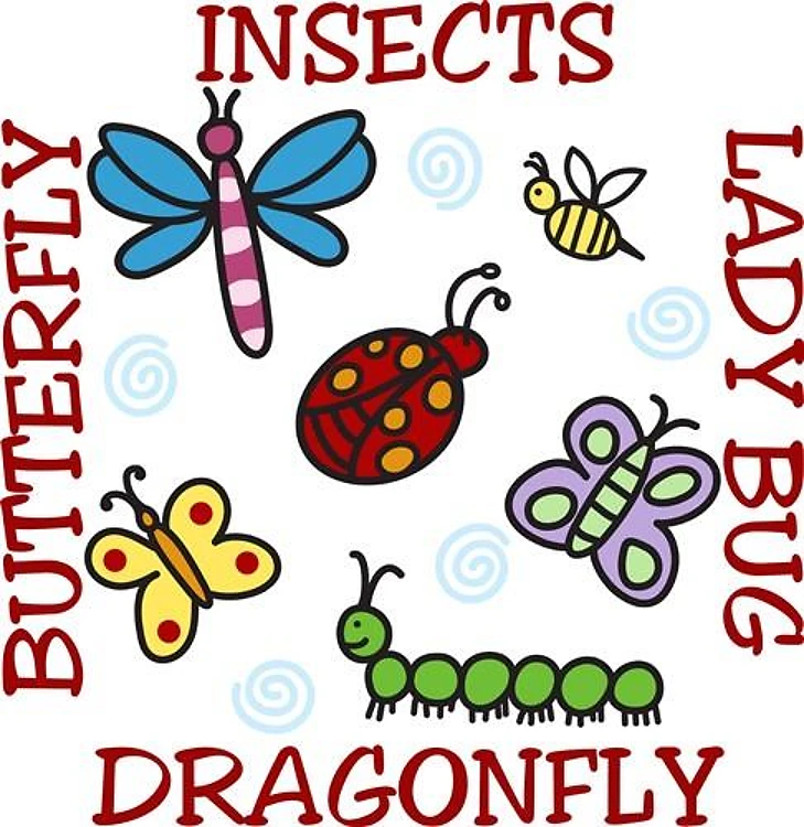 Insects