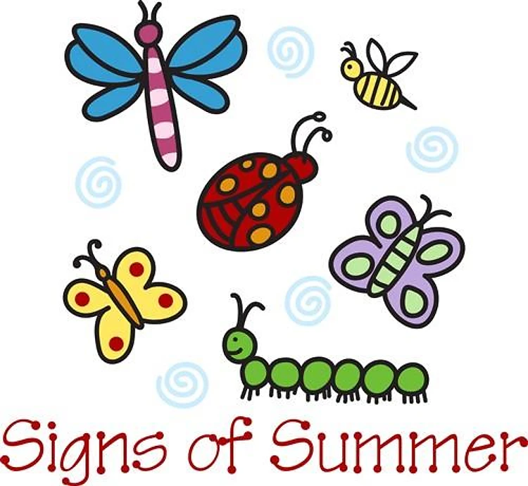 Signs Of Summer