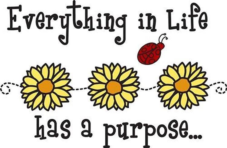Everything In Life