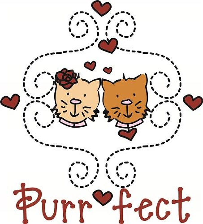 Purr Fect