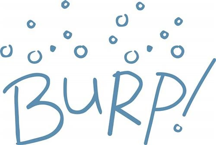 Burp