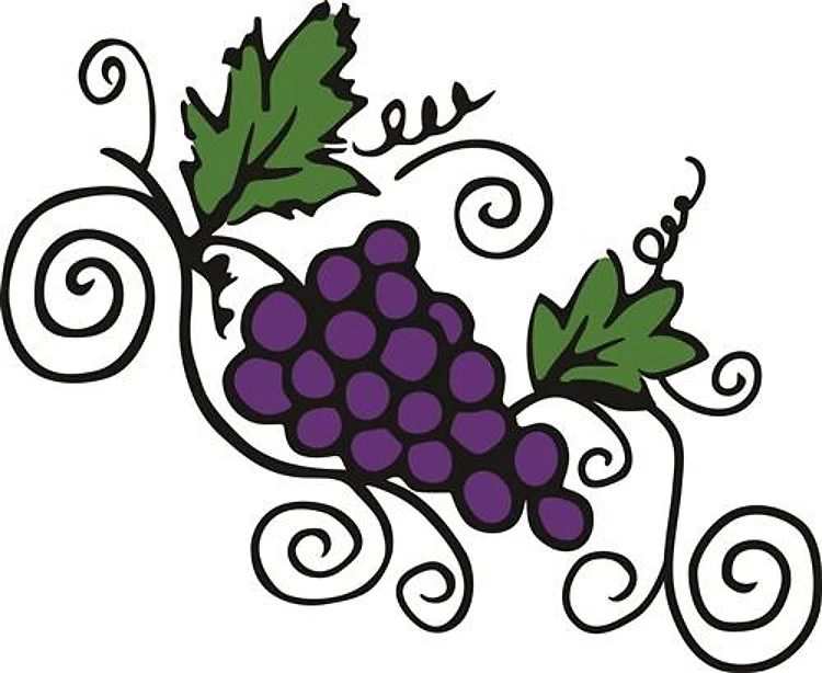 Grape Vines