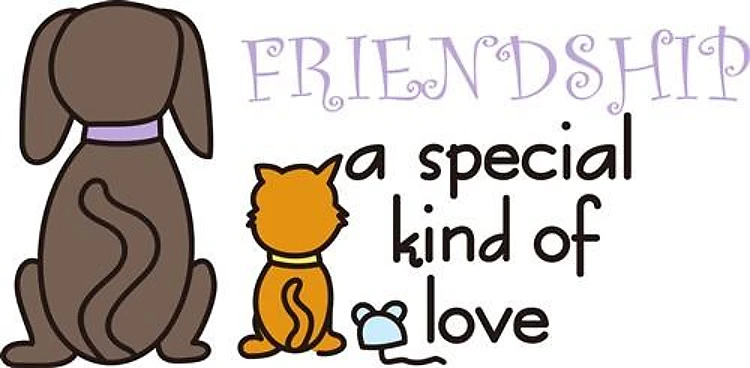 Friendship