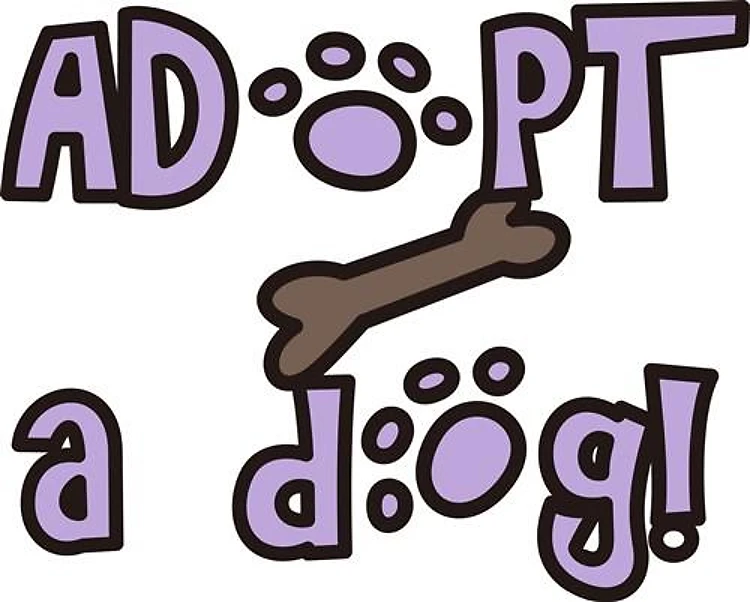 Adopt A Dog