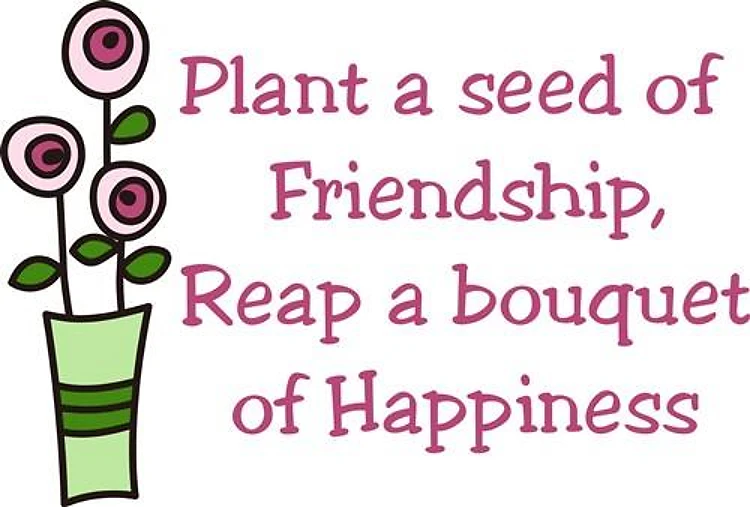 Plant A Seed