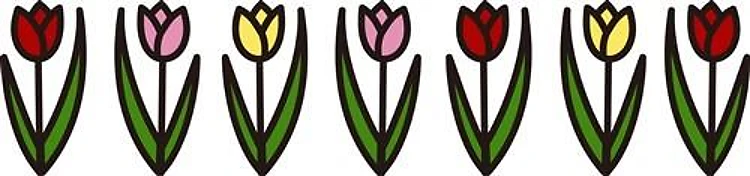 Tulip Garden