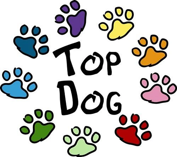 Top Dog