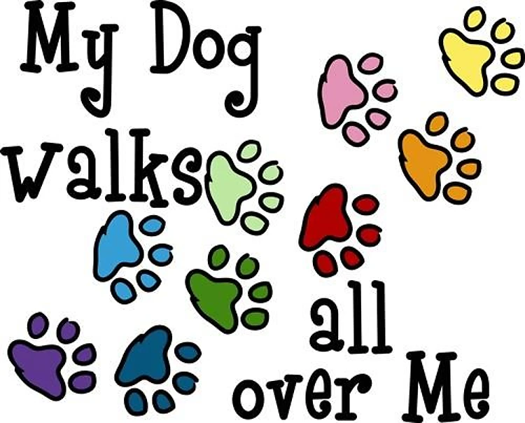 My Dog