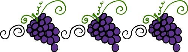 Napa Valley Grapes