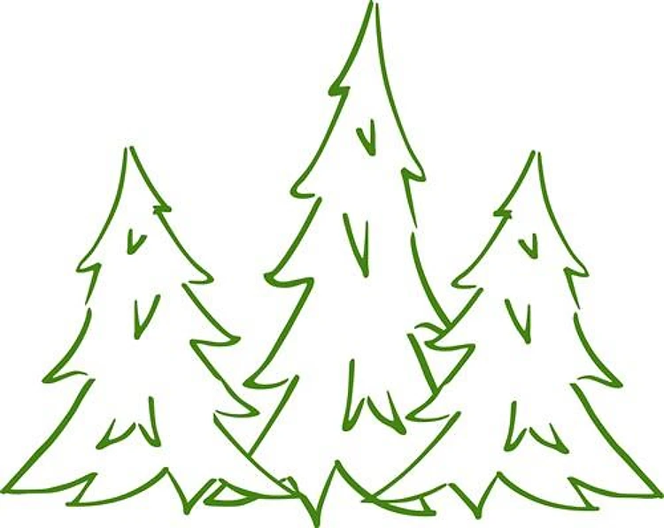 Three Pine Trees