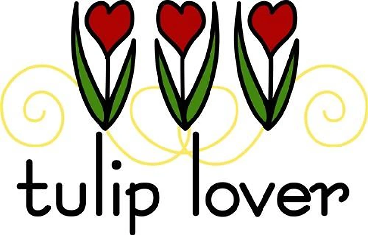 Tulip Lover