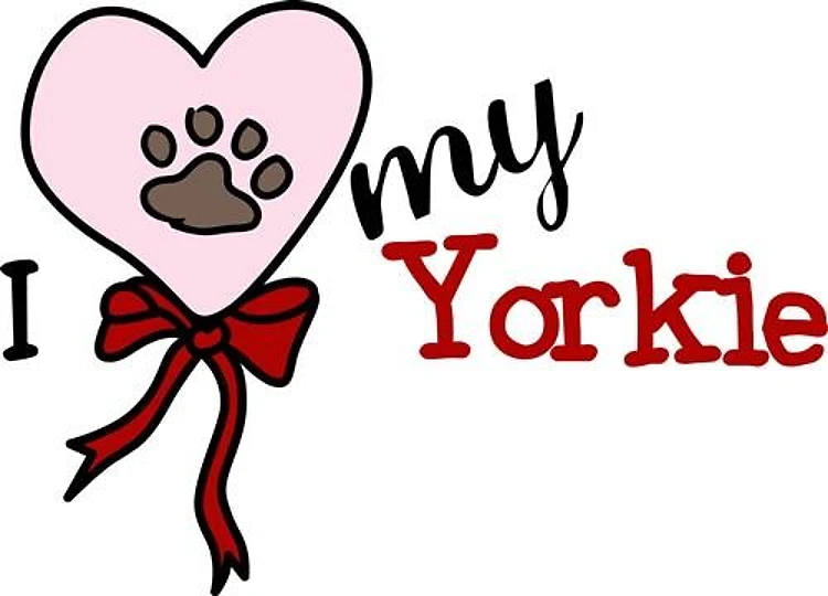 Love My Yorkie