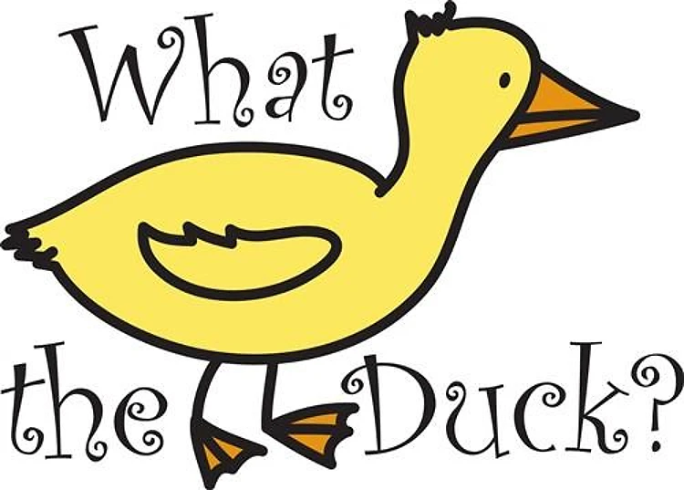 What The Duck